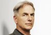 markharmon_ncis_290.jpg