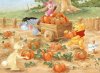 pumpkin patch.jpg