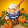 Pumpkin-Pie-Blizzard-from-Dairy-Queen.jpg