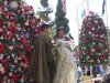 DSC04832 (800x600).jpg