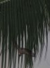 5E bat IMG_6805.jpg