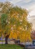 CharlesFall15_8375ab.jpg