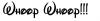 upload_2015-11-11_7-4-39.png