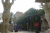 24B DSC08298.jpg