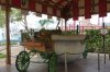 26M DSC08369.jpg
