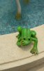 26LL frog.JPG
