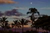 Maui 2013-2.jpg