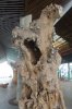 31E DSC08405.jpg