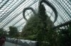 32D DSC06462.jpg