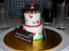 Mini wedding Christmas colors.jpg