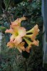 32F DSC06465.jpg
