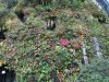 32K IMG_6849.jpg