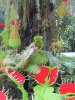 34D IMG_6853.jpg