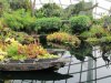 35AA IMG_6861.jpg