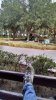 IMG_20151115_070539058_HDR.jpg