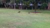 IMG_20151115_070634664.jpg