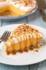 turtle-pumpkin-pie4-srgb.1.jpg