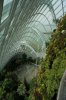 36AB DSC06488.jpg