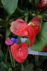 36D DSC06493.jpg