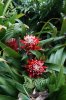 36C DSC06492.jpg