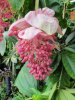 37BB IMG_6862.jpg