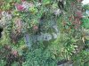 37E IMG_6876.jpg