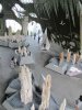 38A IMG_6882.jpg
