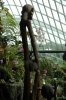 39 DSC08443.jpg