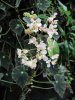 39B IMG_6902.jpg