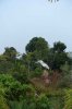 48C Kingfisher lake DSC08468.jpg