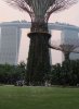 49E bubbles IMG_6919 small.jpg