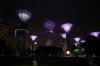 52B DSC06507.jpg
