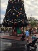 IMG_1017.JPG