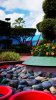 DSC00811 (2) (575x1024).jpg