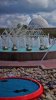 DSC00813 (2) (575x1024).jpg