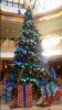 20151121_101121.jpg