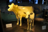 butter cow.png