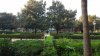 View from room.jpg