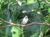 14DD IMG_7030.jpg