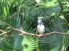 14DE IMG_7031.jpg