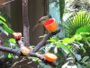 14G IMG_7039.jpg