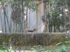 14J IMG_7029.jpg