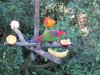 14N IMG_7050.jpg