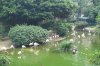 17E DSC08638.jpg