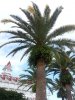 2015 - 11.26 - WDW02.jpg 2015 - 11.26 - WDW02.jpg