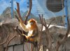 6A IMG_7078.jpg
