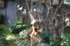 6E DSC08685.jpg