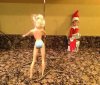 elf 3.jpg