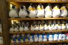 16B DSC08748.jpg