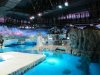 17B Sea enclosure IMG_7202.jpg